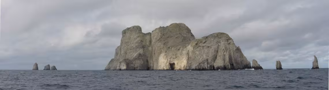 Isla de Malpelo, Kolumbien