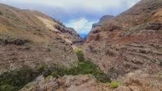 Nach einem Kilometer erreichen wir das Sharks Valley, dessen grün bebuschte Talsohle in krassem Kontrast zu den schroffen und kargen Berghängen steht.