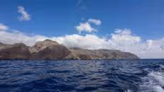 Wir fahren gen Westen bis auf Höhe der durch Guano-Ablagerungen hell gefärbten Egg Island. Wegen Erfolglosigkeit machen wir dann kehrt ...