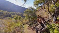 Die Vegetation erinnert mich schon entfernt an das Outback Australiens.