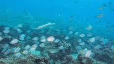 Das Fishy Reef macht seinem Namen alle Ehre.